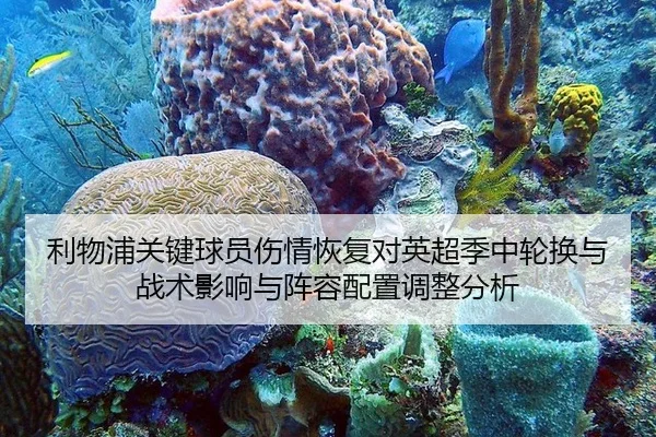 利物浦关键球员伤情恢复对英超季中轮换与战术影响与阵容配置调整分析