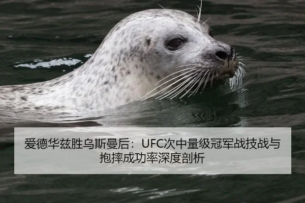 ai-de-hua-zi-sheng-wu-si-man-hou-ci-zhong-liang-ji-guan-jun-zhan-ji-zhan-yu-bao-shuai-cheng-gong-lv-shen-du-pou-xi-3-307.jpg