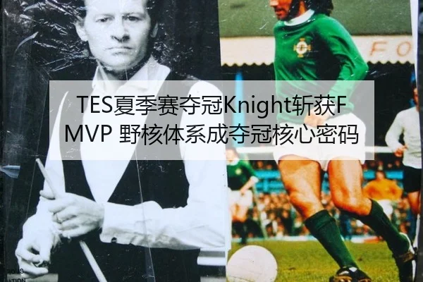 TES夏季赛夺冠Knight斩获FMVP 野核体系成夺冠核心密码